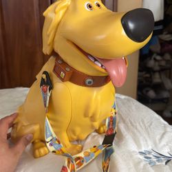 Disney Popcorn Bucket (up) 