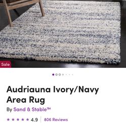 Wayfair Ivory/Navy Area Rug