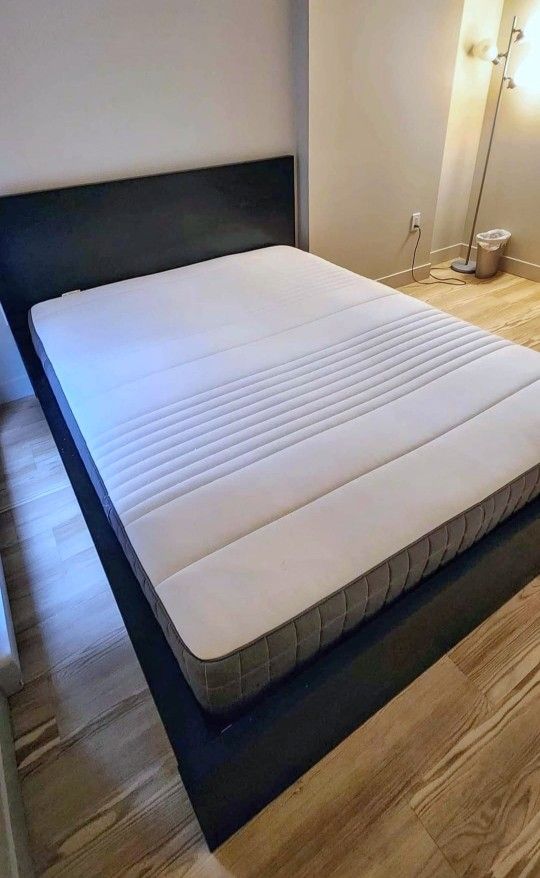 Very Nice Queen Ikea Malm Bed Frame with Ikea Haugsvar Mattress