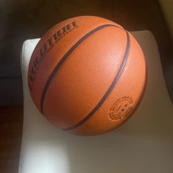 wilson evolution basketball