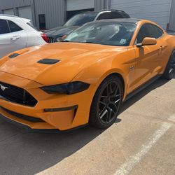 2019 MANUAL GT 5.0 MUSTANG 