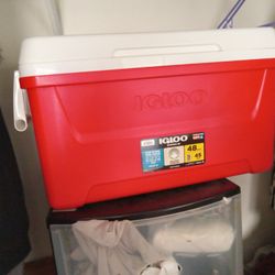 Cooler