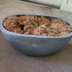 Cement Planter