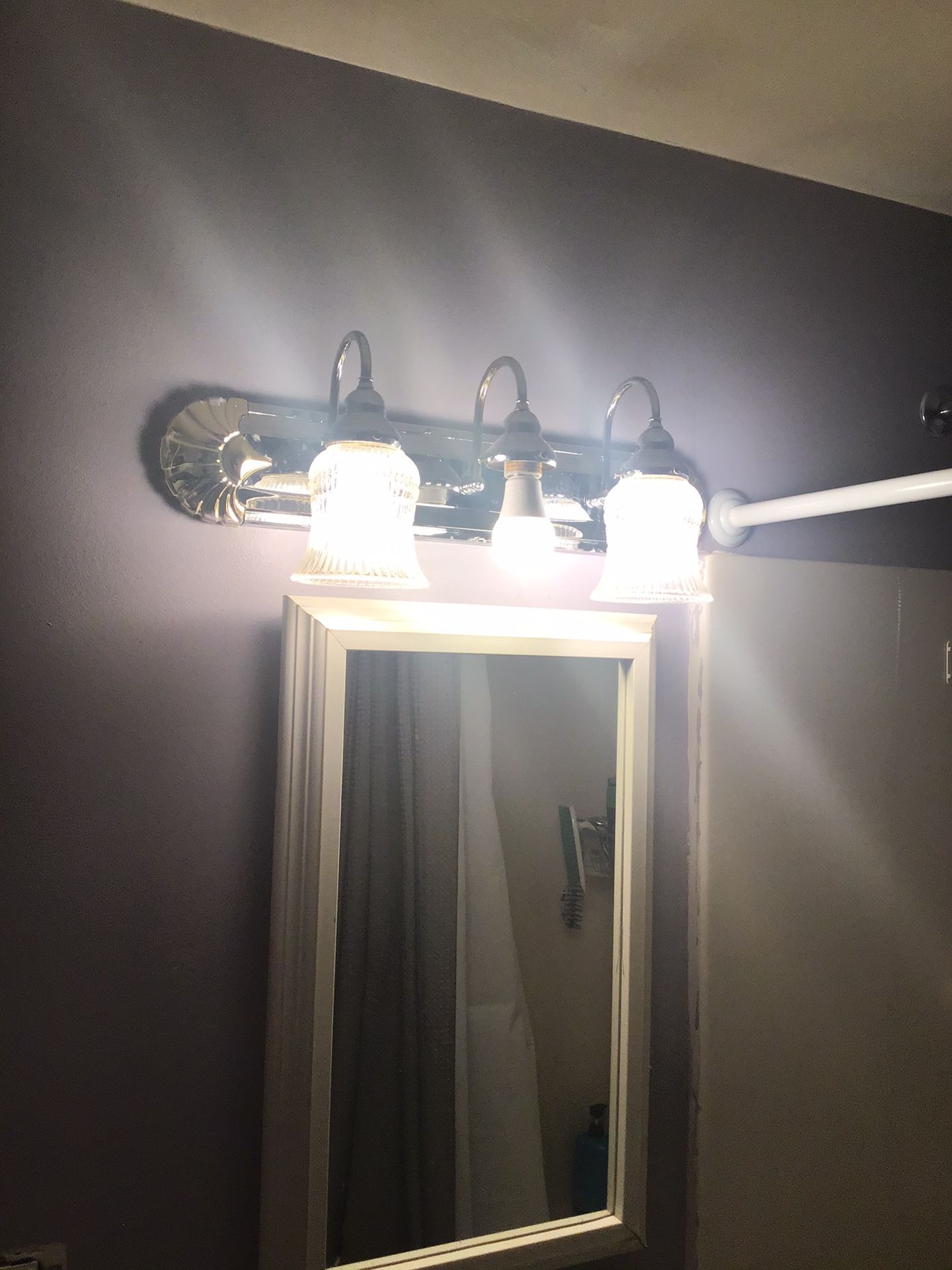 Bathroom vanity light