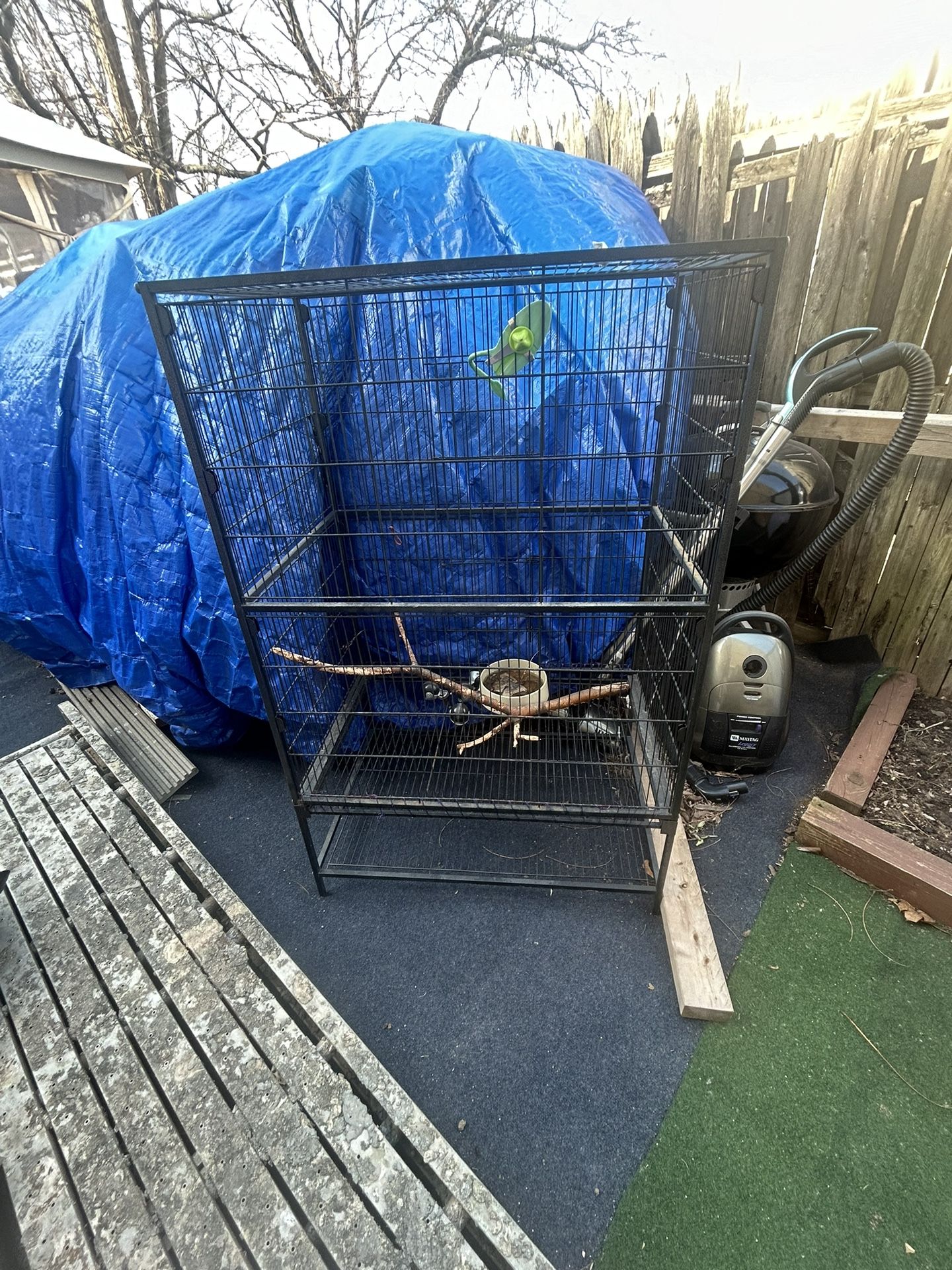 Bird Cage