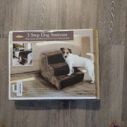 Doggy Stairs 