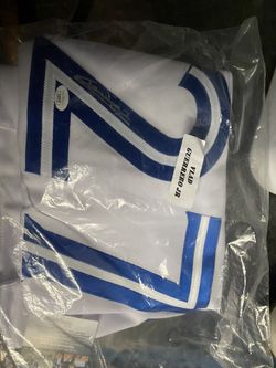 Vladimir Guerrero Jr Autographed Jersey JSA