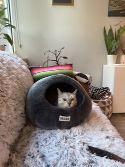 Mud Bay Hooded Cat Bed