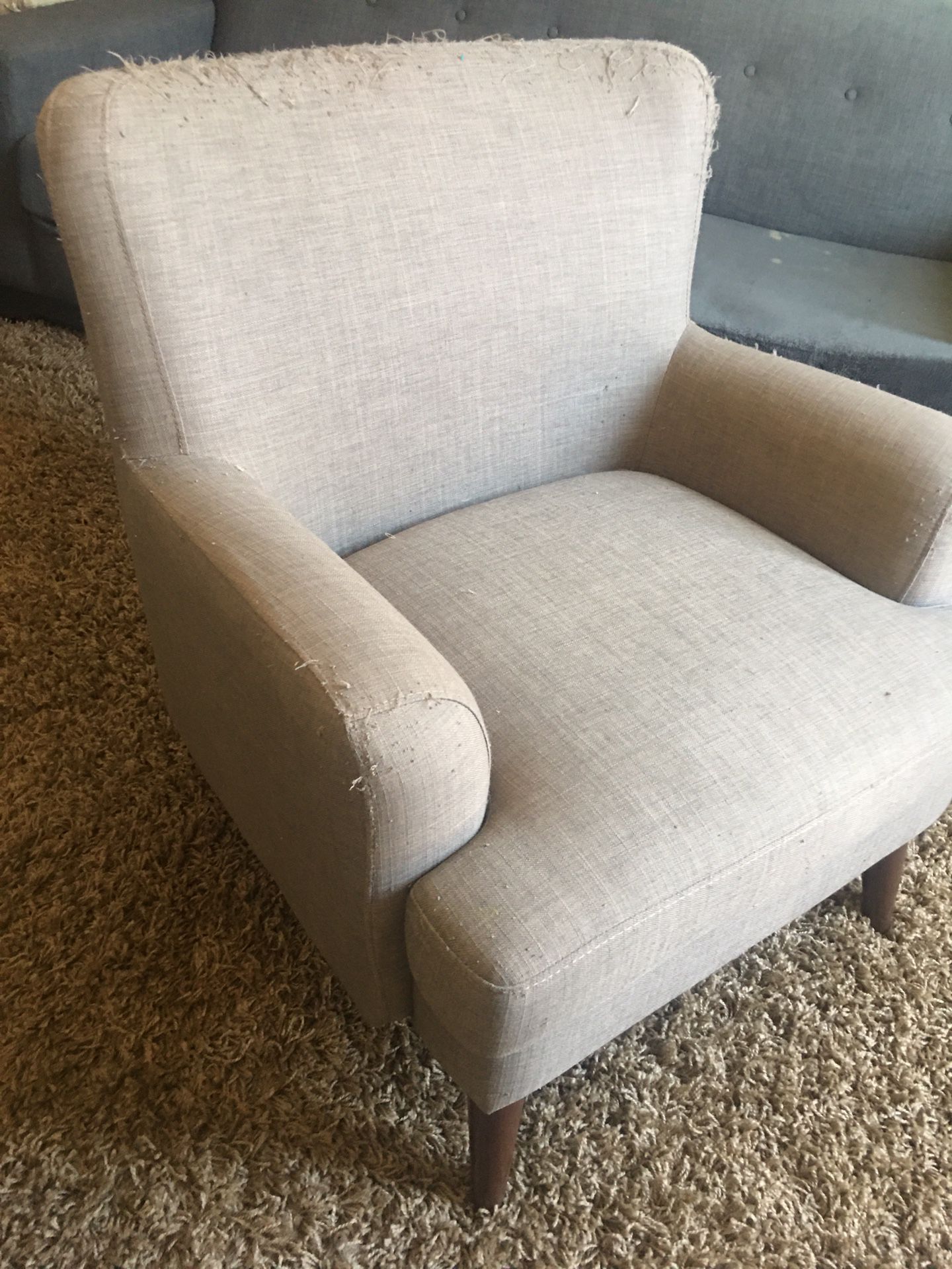FREE Accent Chair-cat scratches but great bones