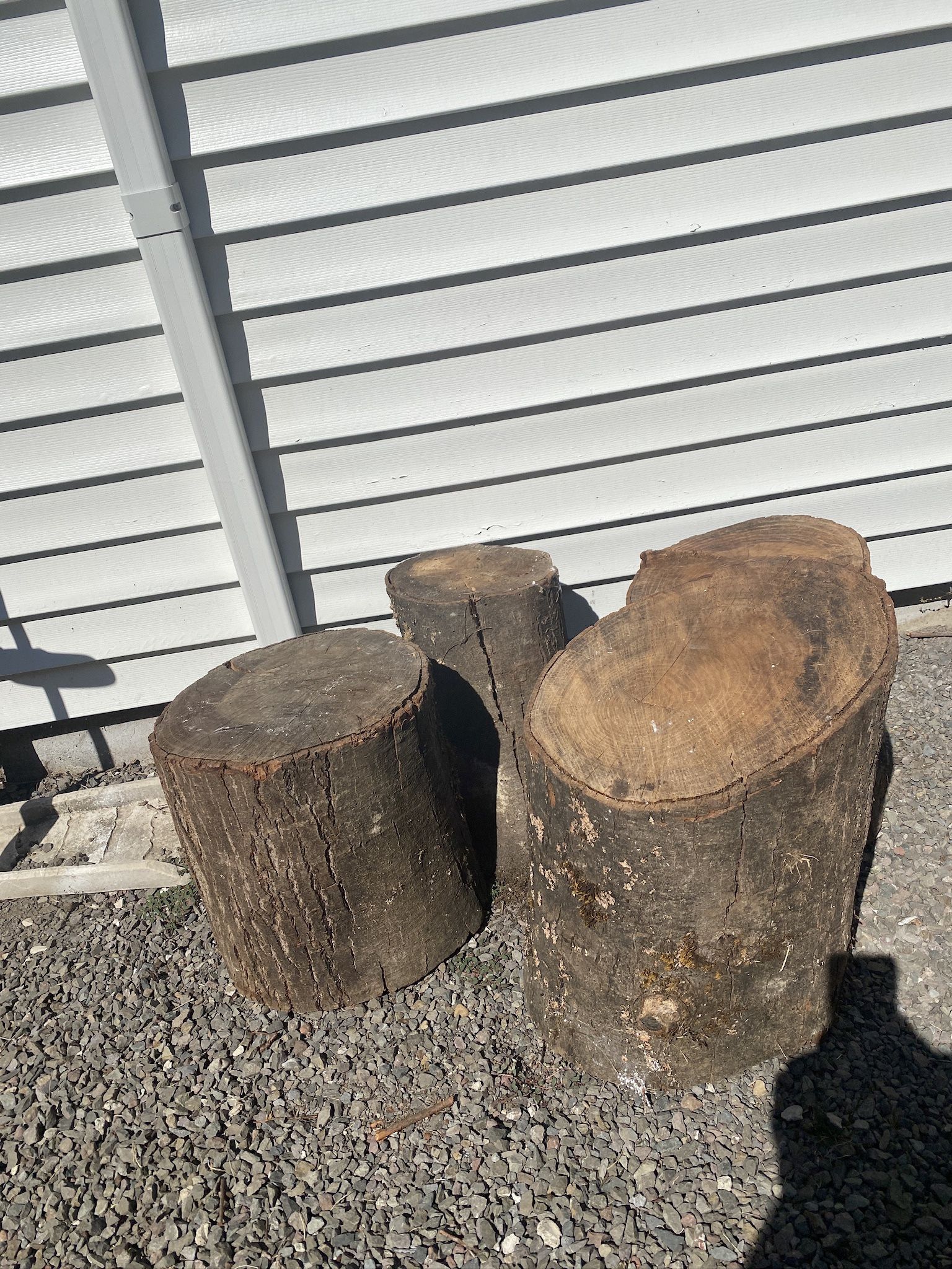 Free Fire Wood