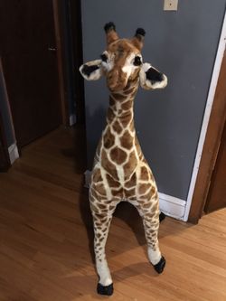 Big giraffe