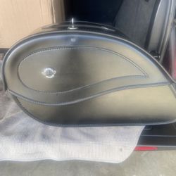 Viking Bags Came Off 2021 Low Rider S