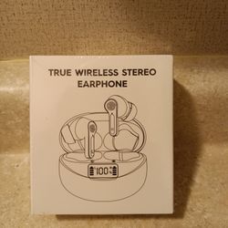 Earbuds 