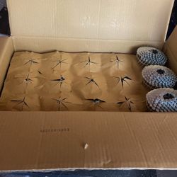 Roofing Nails 
