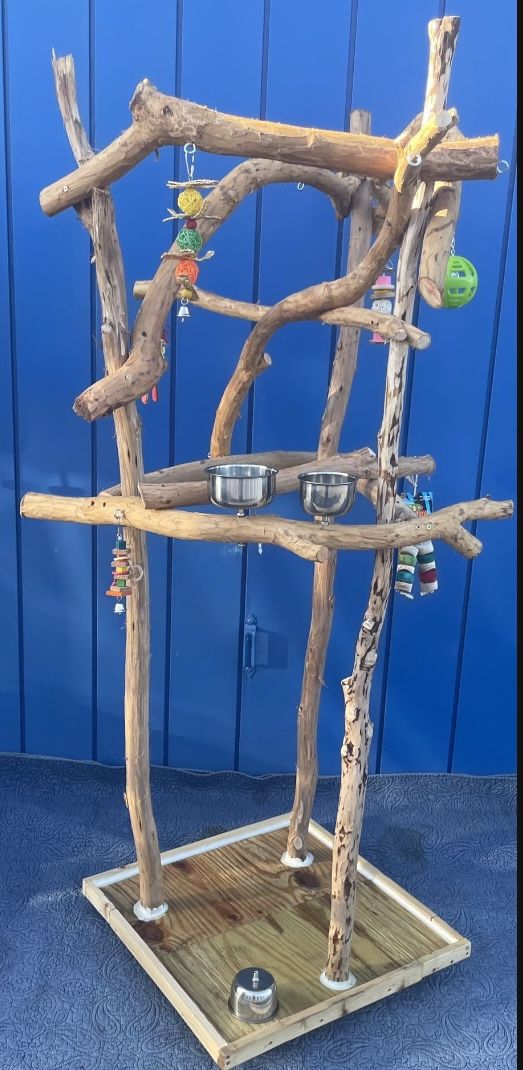 Thick Macaw Cockatoo Parrot Perch Tree - Curvy n Funky , Lots Of Parrot Fun ! 