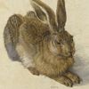 Blue Rabbit Trading Company 