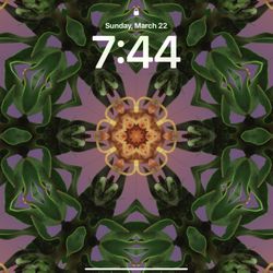 iPad Pro 2 11 in , face recognition, 120 hz, SALE PENDING