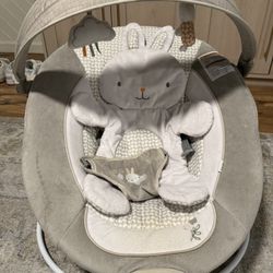 Baby Bouncer