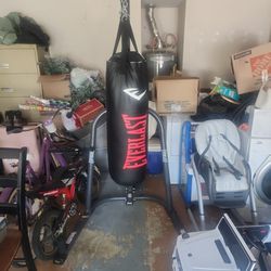 Punching Bag  With The Stan