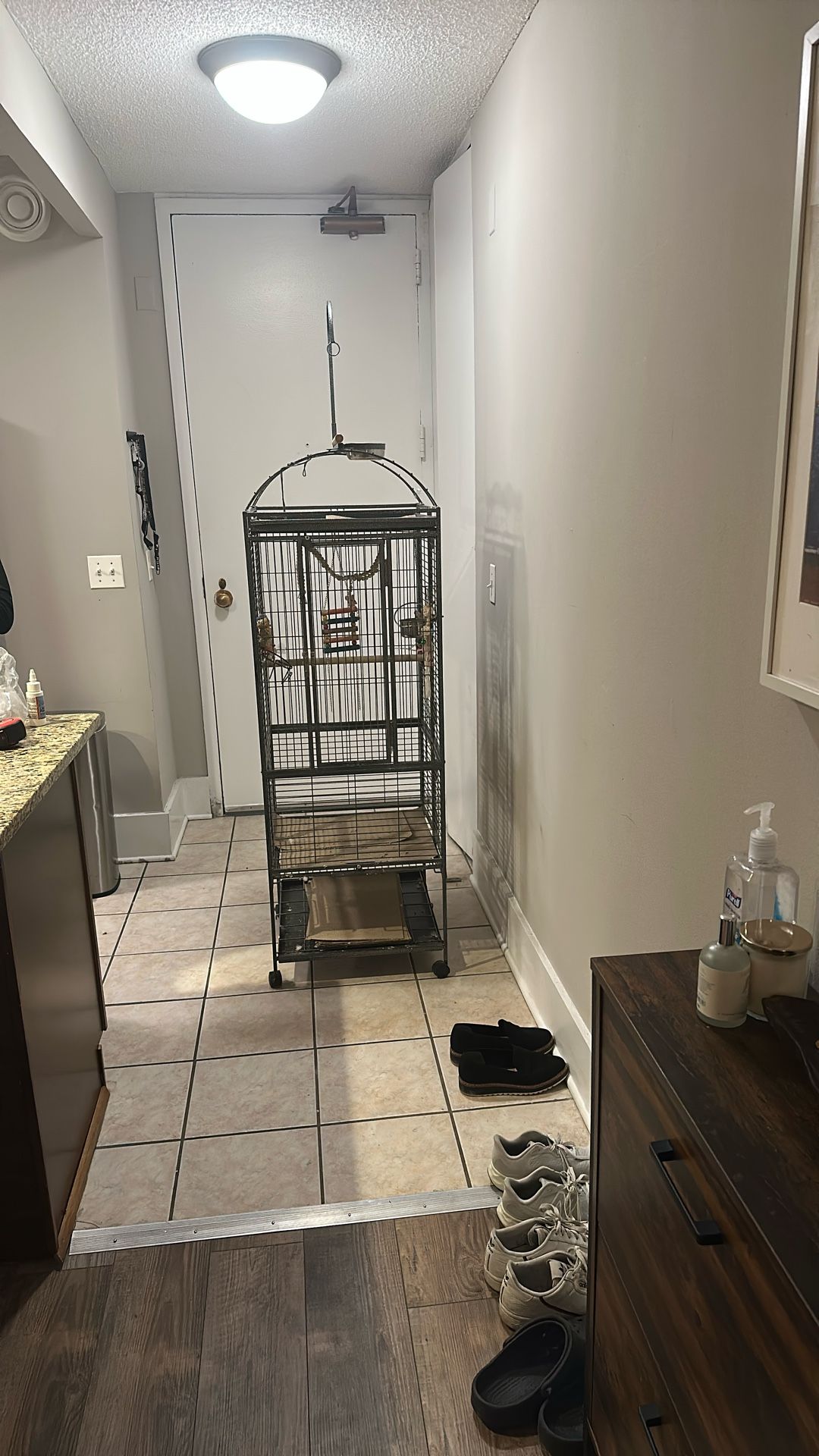 Bird cage with toys (52L X 22W)