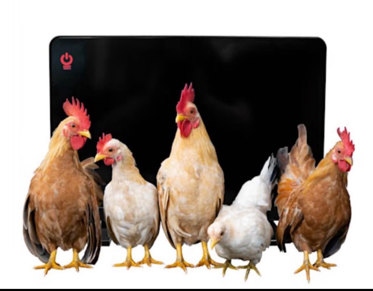 2 Chickcozy Chicken Coop Heater – $50 each