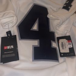 Carr Raider Jersey 