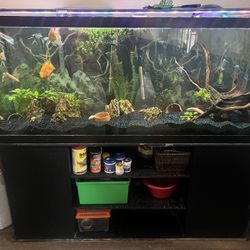 120 Gallon Fish Tank And Stand