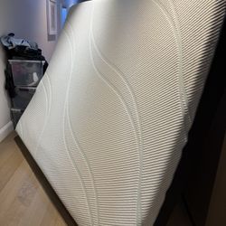 Tempurpedic California King Pro adapt medium