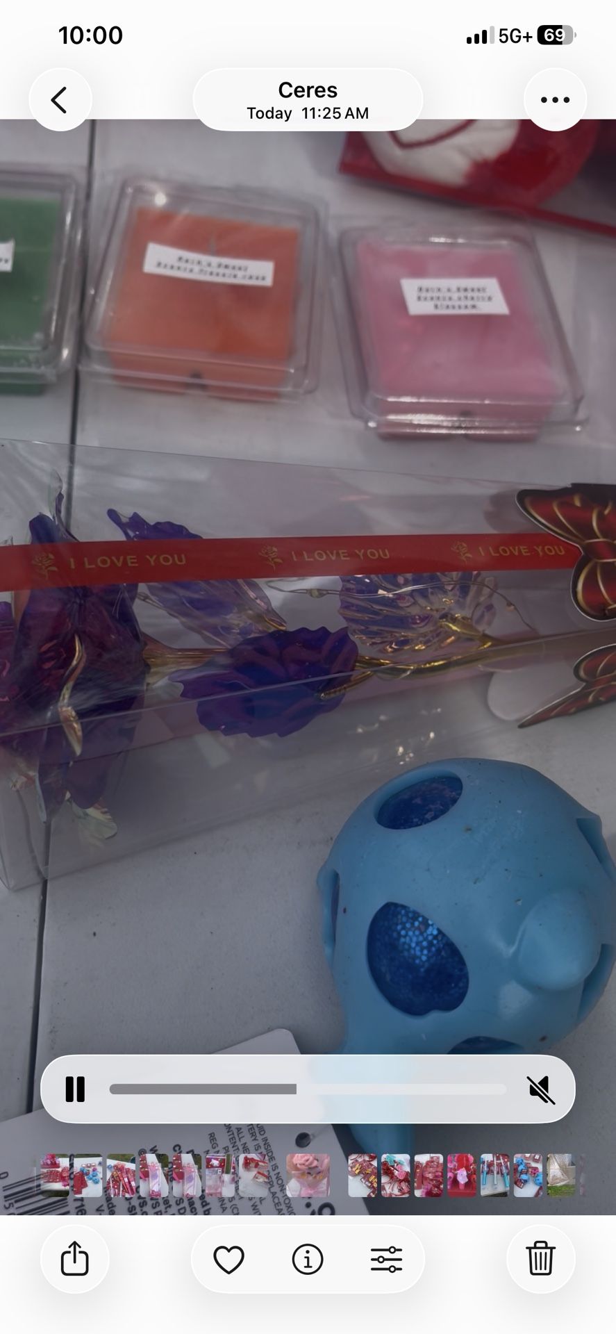 Valentine Rose ( Lights Up )