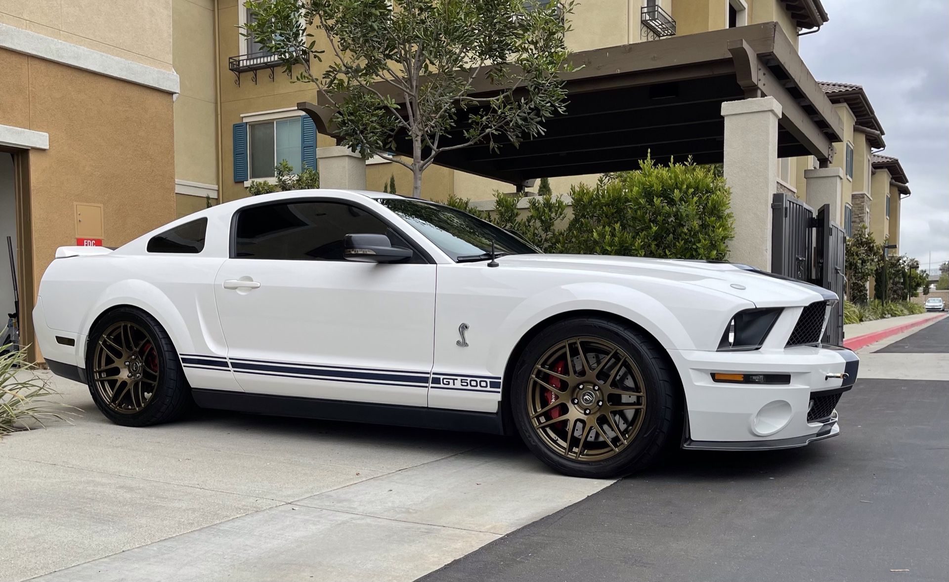 2007 Ford Mustang Shelby Gt500
