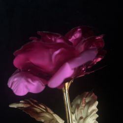 Beautiful Rose Of Love For You Or Someone On Valentines Day 