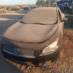 Nissan Maxima 