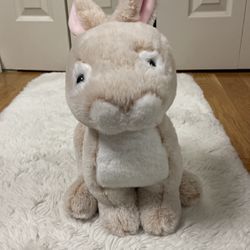 Bunny Stuffed Animal