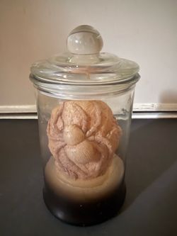 Creepy Anatomical Heart & Spider Candle in Glass Jar – Halloween Gothic Decor