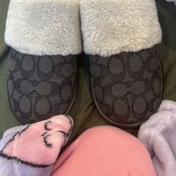 Coach Slippers
