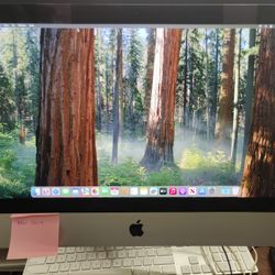 iMac 2019 with High Specs - 32GB Ram, 1.60TB SSD , Intel Quad Core , Radeon Pro 555X 2GB Graphics, macOS Sequoia, Microsoft Office Package. A