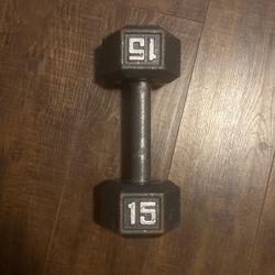Single 15 Pound Dumbbell  