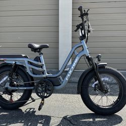 FUCARE Libra 20” Dual Suspensions 750 Watt Fat Tire Electric Bike In Gray