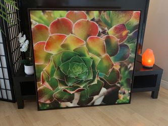 Beautiful succulent canvas
