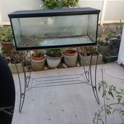 30" Glass Tank 
