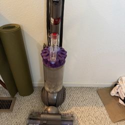 Dyson Slimball Animal  