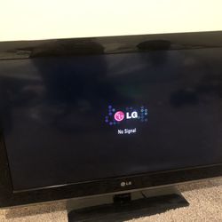2010 LG Flatscreen TV