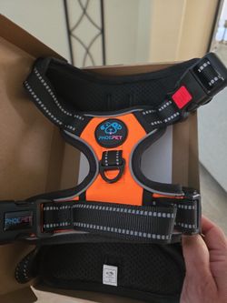 Pet Harness. Orange. Size M. New In Box.