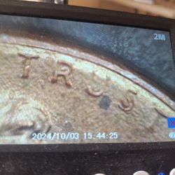 1988 D Penny