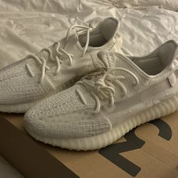Dead Stock Yeezy Bone