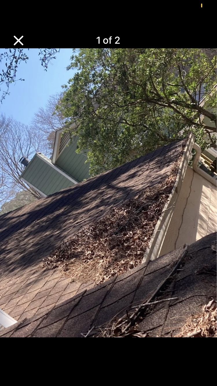 Gutter Cleaning