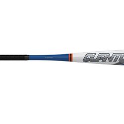 🔥BRAND NEW🔥 Easton Quantum USSSA Youth Baseball Bat, -10
