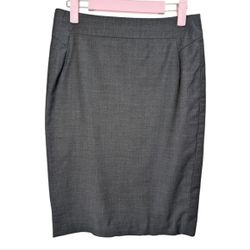 Ann Taylor Grey Pencil Skirt Office/Work Woman