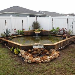 Fish Rescue and Pond Removal 