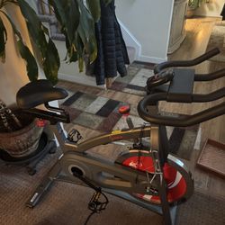 Sunny Flywheel Exercise Bike